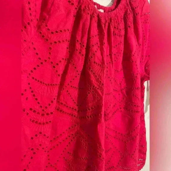 Sundance Eyelet Scoop Neck Short Sleeve Pink Blouse Top Womens Sz Petite Medium - Picture 4 of 9